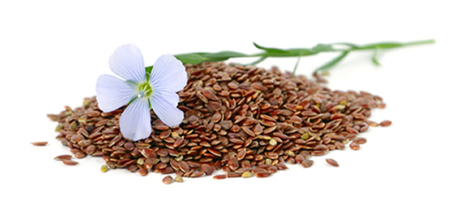 Winter Linseed