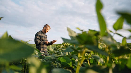 Crop Research