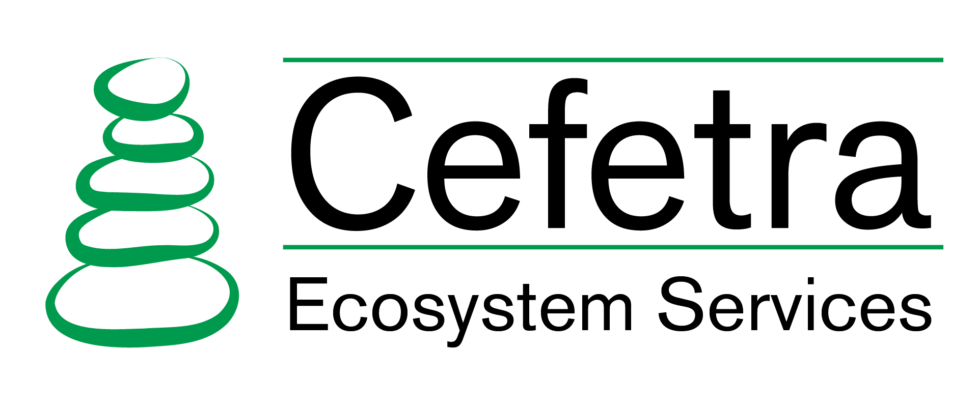 C E S logo