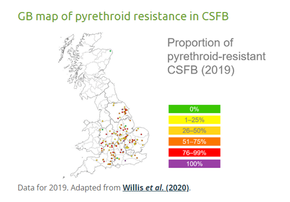 GB map of Pyrethroid resistant csfb