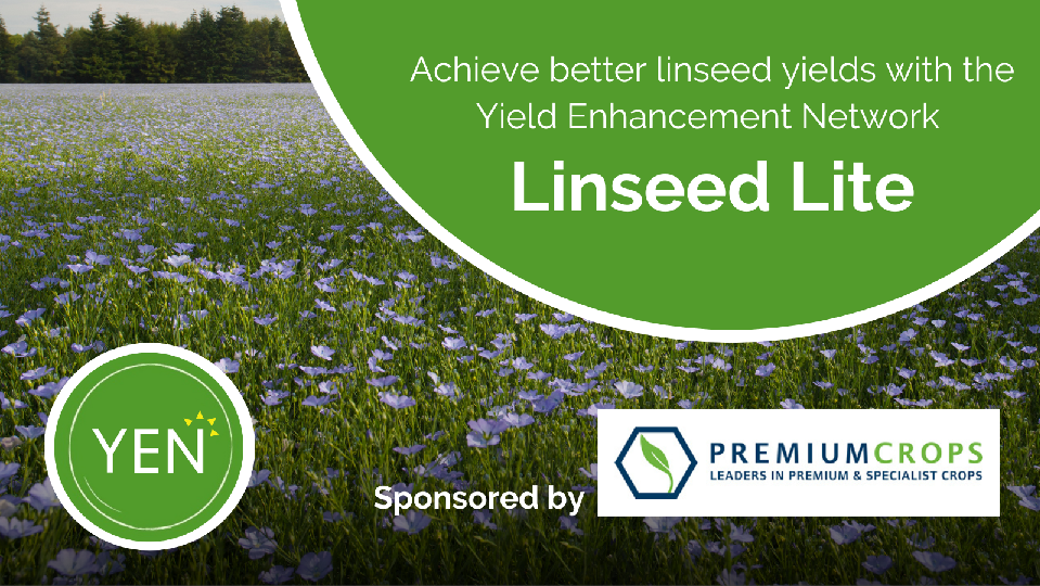 Linseed Lite YEN promo 1 small