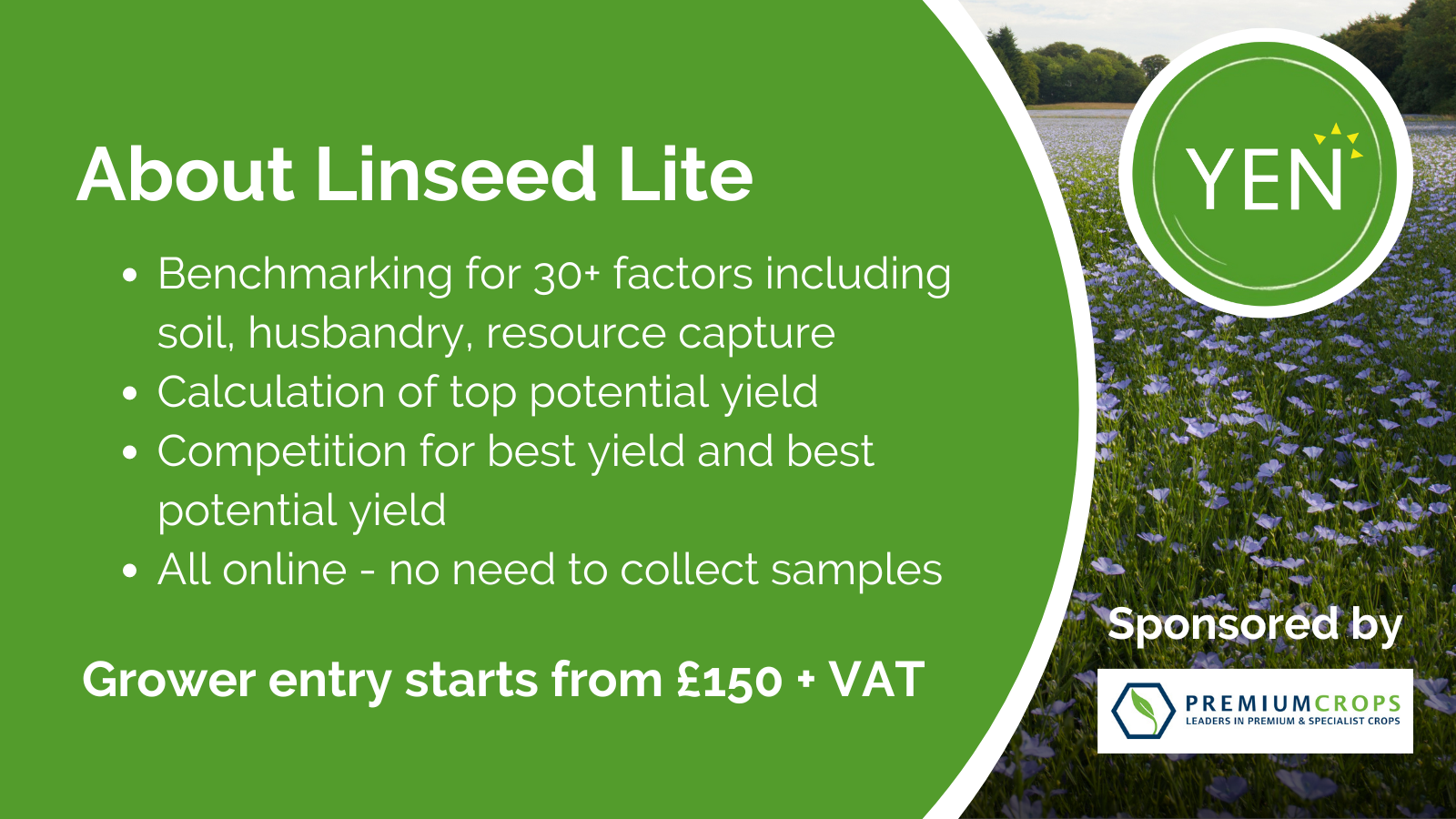 Linseed Lite YEN promo 2